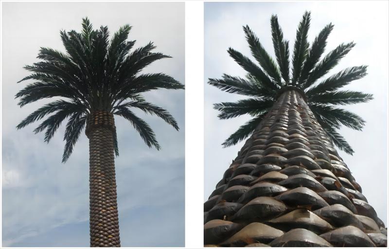 Torre de telecomunicaciones biónica camuflada con palmera.