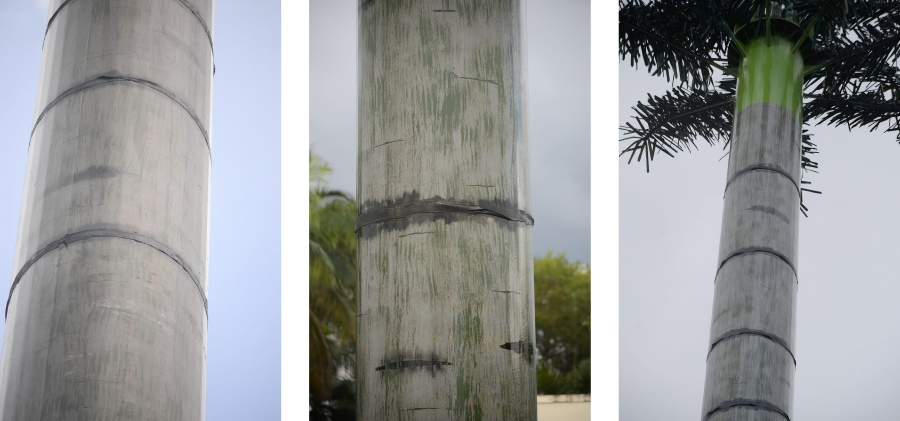 palm tree monopole tower