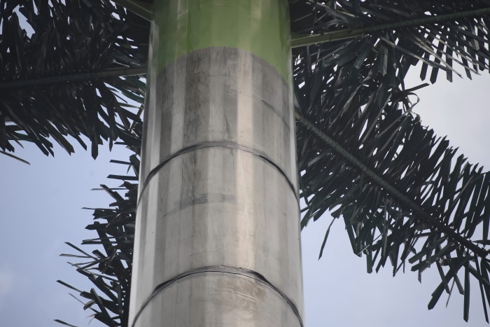 palm tree tower