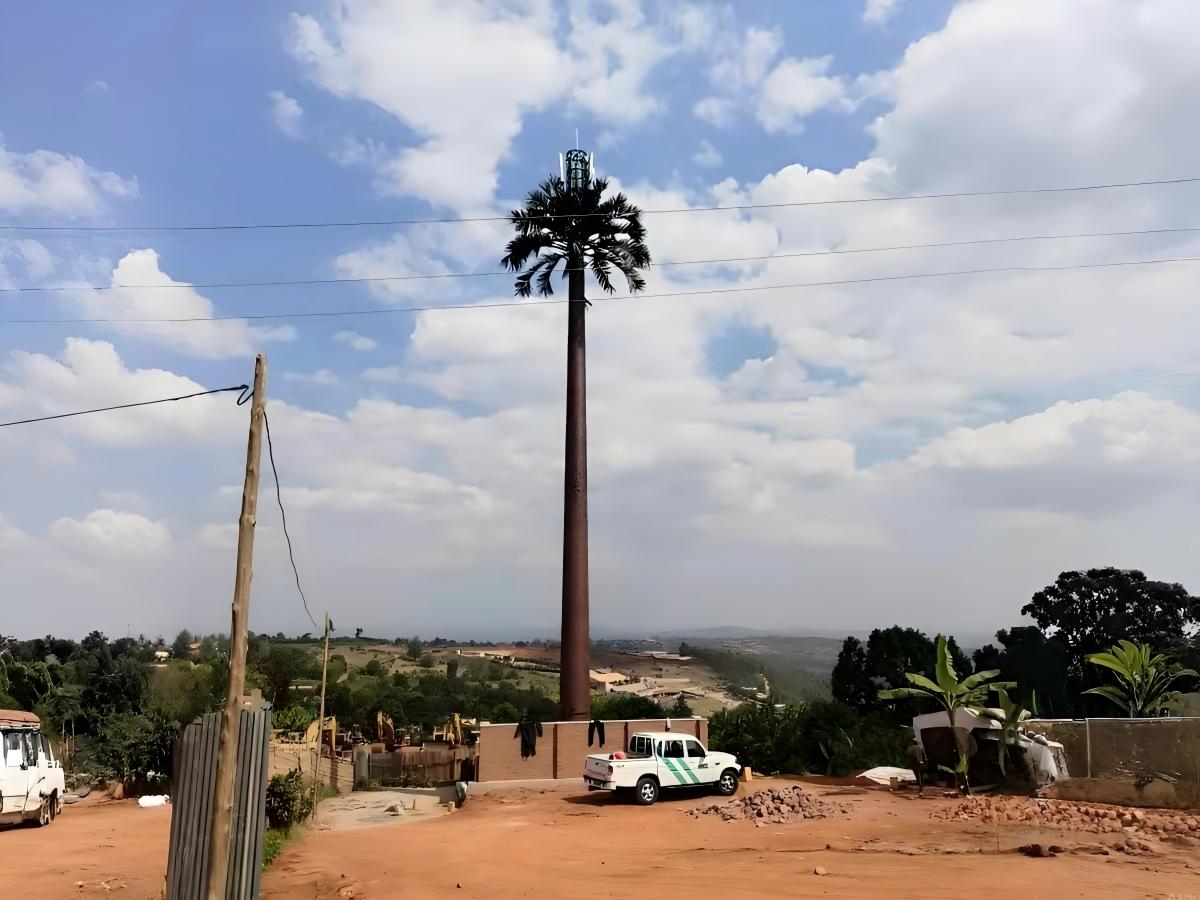 El monopolo de palmeras exportado a Ruanda se puso oficialmente en funcionamiento