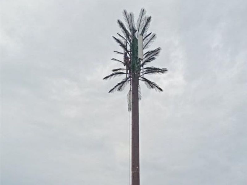 Torre de palmeras camuflada que se exporta a Fiji