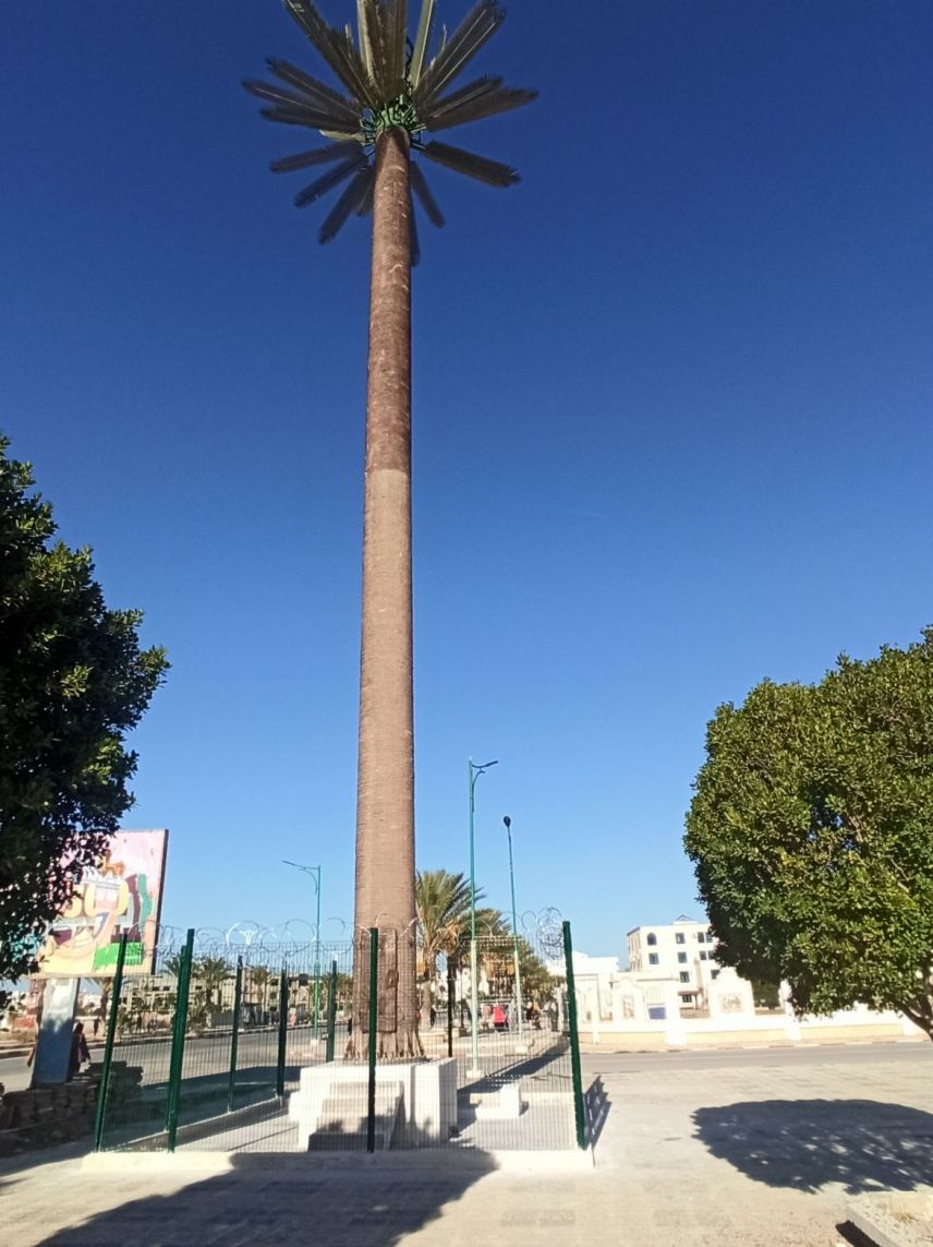 Torre de palmeras camuflada en Omán