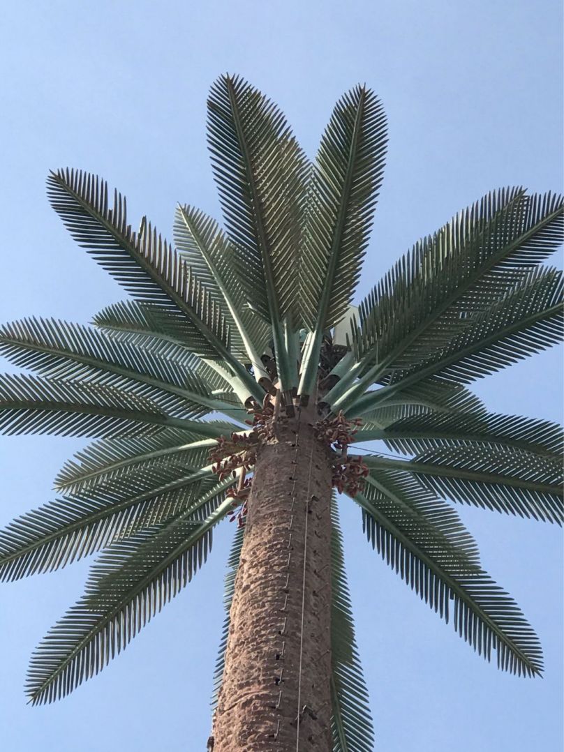 Torre de palmeras camuflada en Omán